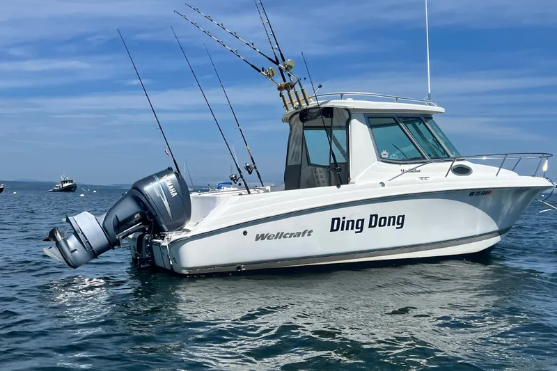Slide: The Image of 2005 Wellcraft 252 Coastal boat named "Ding Dong" on water with fishing rods. - 8