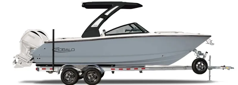 The Image of Robalo R257 Dual Console 2027 - undefined