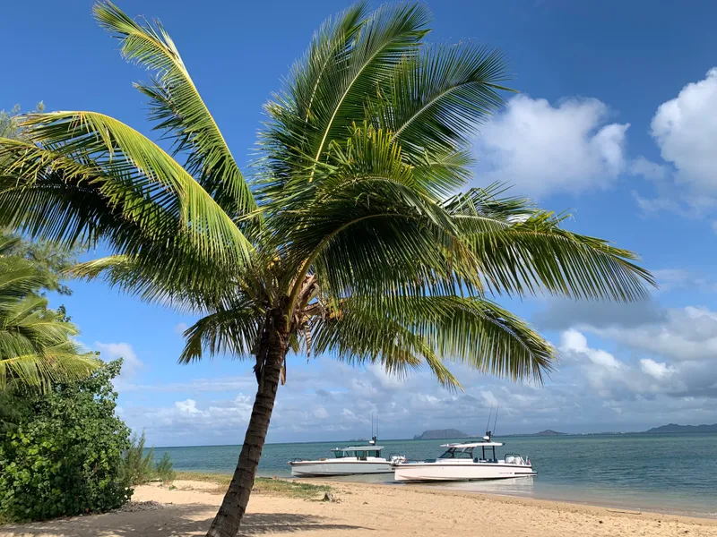 Slide: The Image of Two boats are on the beach under a palm tree, with blue sky and sea in the background. - 7