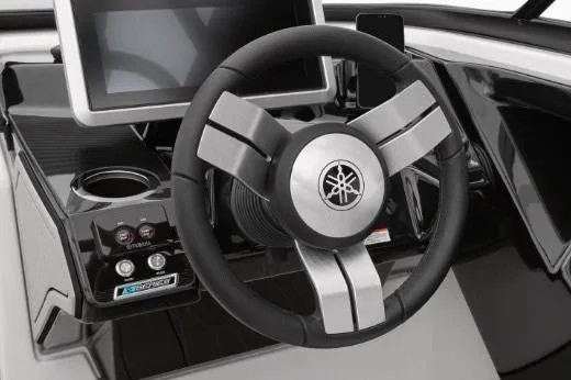 Slide: The Image of Manufacturer Provided Image - 1