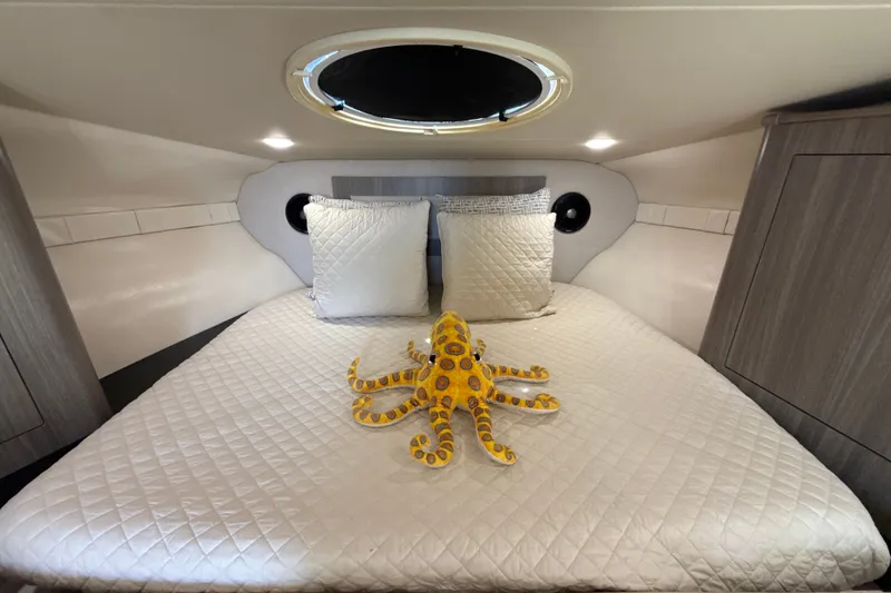 Slide: The Image of Cozy cabin interior of 2019 Regal 33 XO yacht with plush bedding and decorative octopus. - 24