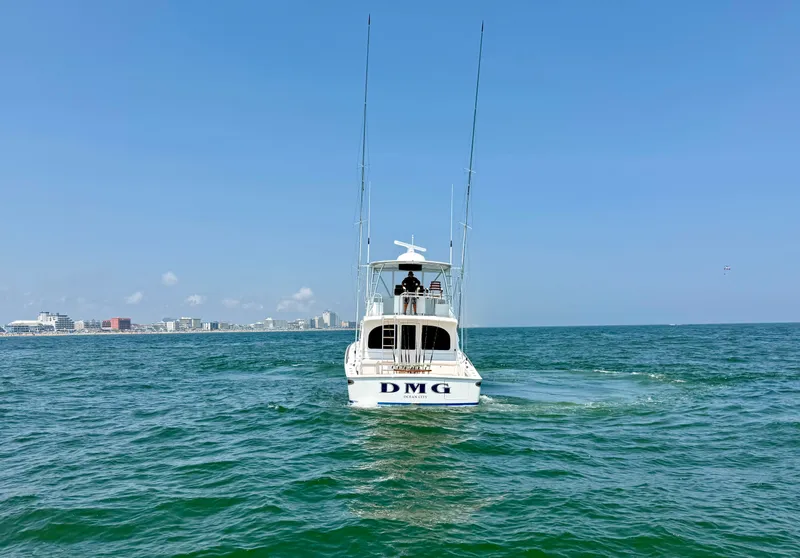 Slide: The Image of A 2027 Viking 50 Billfish on open water with a city skyline in the background. - 8