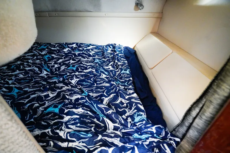 Slide: The Image of Cozy cabin interior of 2004 Regal Commodore 2860 with marine-themed bedding. - 24