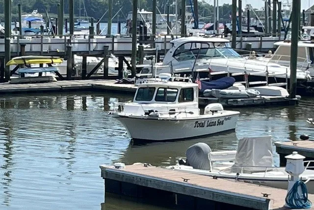 Slide: The Image of 2001 Parker 2320 Sport Cabin boat docked in a marina with other vessels. - 2