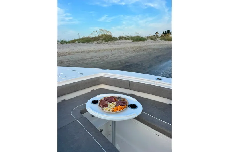 Slide: The Image of 2020 Sea Hunt Ultra 275SE boat with charcuterie platter, anchored near sandy beach. - 47