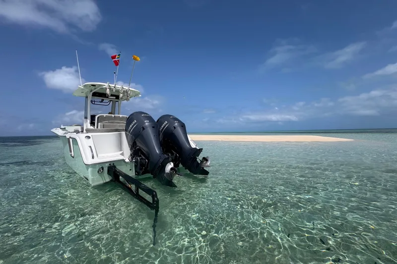 Slide: The Image of 2020 Sea Hunt Ultra 275SE boat in clear shallow water near a sandy island. - 4