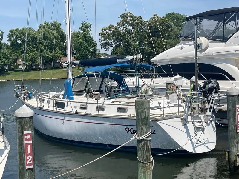 The Image of A white sailboat docked at a marina, surrounded by other boats and trees in the background. - 0