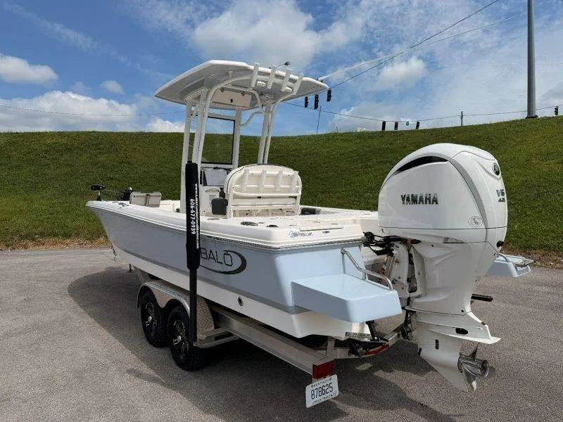 Slide: The Image of Robalo 246 Cayman 2023 - 74