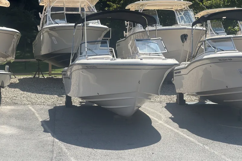 The Image of 2018 Grady-White Freedom 215 boats displayed in a sunny outdoor setting. - 1