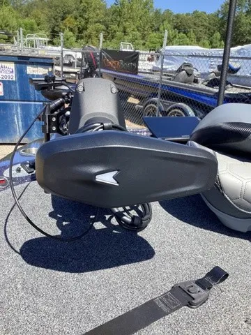 Slide: The Image of Bass Cat Lynx 2027 - 24