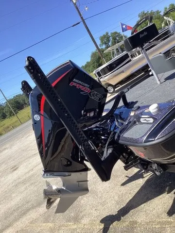 Slide: The Image of Bass Cat Lynx 2027 - 60