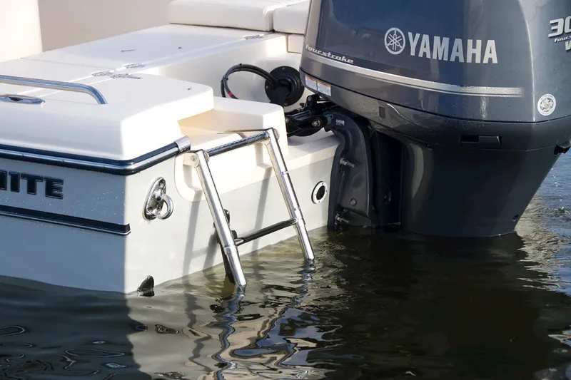 Slide: The Image of Manufacturer Provided Image: 2023 Grady-White 251 Coastal Explorer with Yamaha outboard motor and swim ladder. - 9