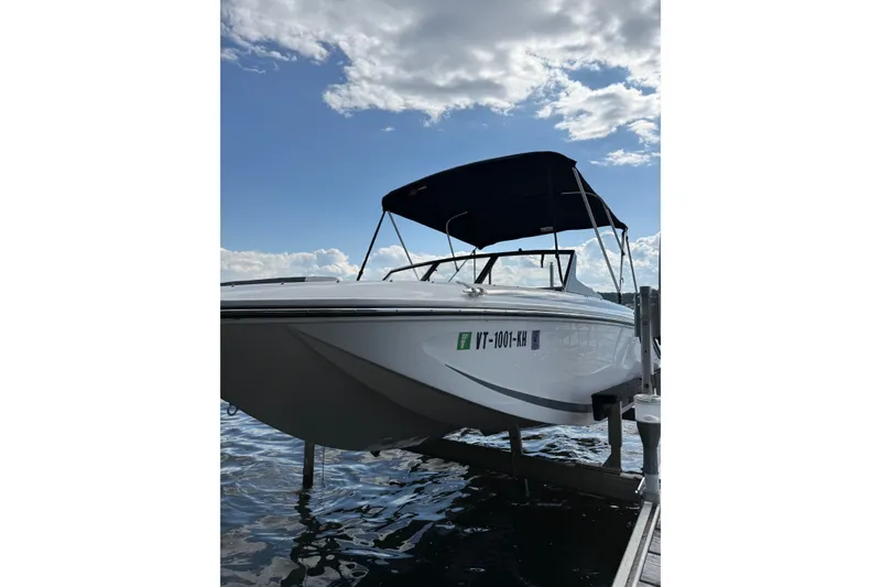 The Image of 2024 Bayliner Element M17 boat docked under a cloudy sky. - 4