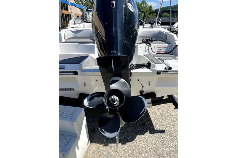 Slide: The Image of 2024 Bayliner Element M17 boat with outboard motor and propeller, docked outdoors. - 17