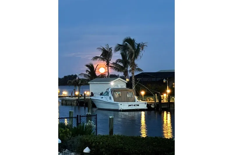 Slide: The Image of 1997 Sea Ray 370 Express Cruiser docked at sunset with palm trees and waterfront view. - 3