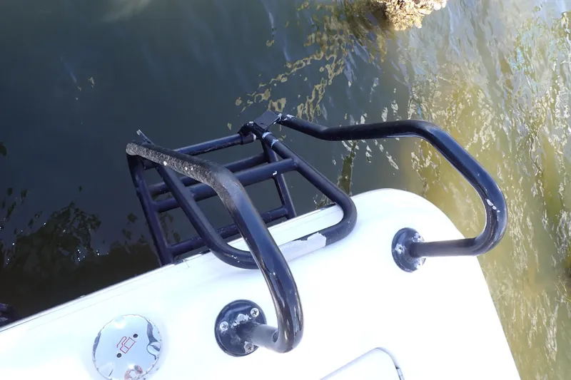 Slide: The Image of Boat ladder on 2015 Blue Wave 2400 PureBay, extending into water. - 84