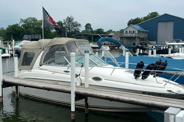 The Image of 2003 Sea Ray Sundancer 260 docked at marina with birds perched on deck. - 0