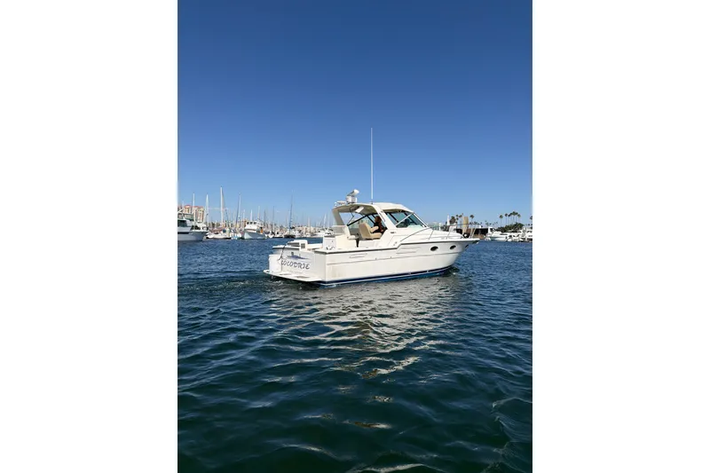 Slide: The Image of 1990 Tiara Yachts 3300 Open cruising in a sunny marina setting. - 21
