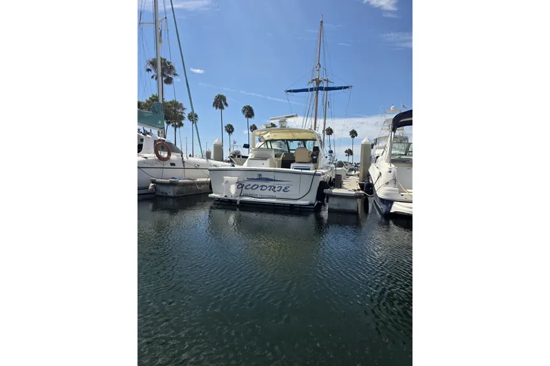 The Image of 1990 Tiara 3300 Open yacht docked in a marina, surrounded by palm trees and clear skies. - 1