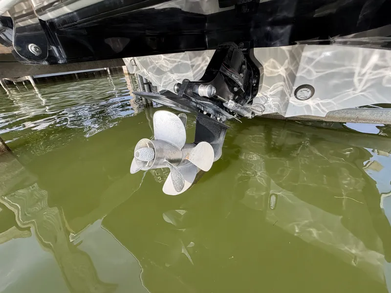Slide: The Image of Sea Ray SDX 250 2019 - 32