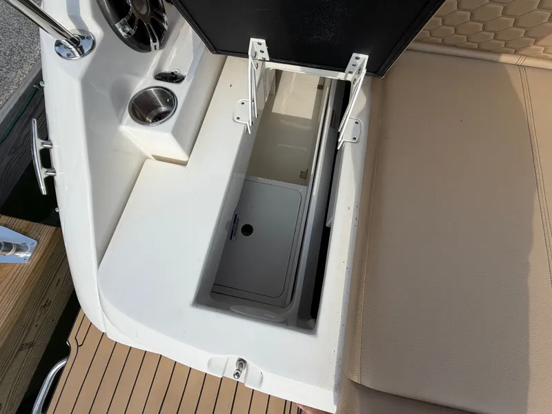 Slide: The Image of Sea Ray SDX 250 2019 - 44