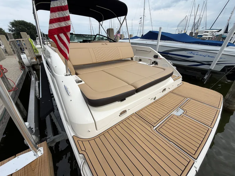 Slide: The Image of Sea Ray SDX 250 2019 - 6