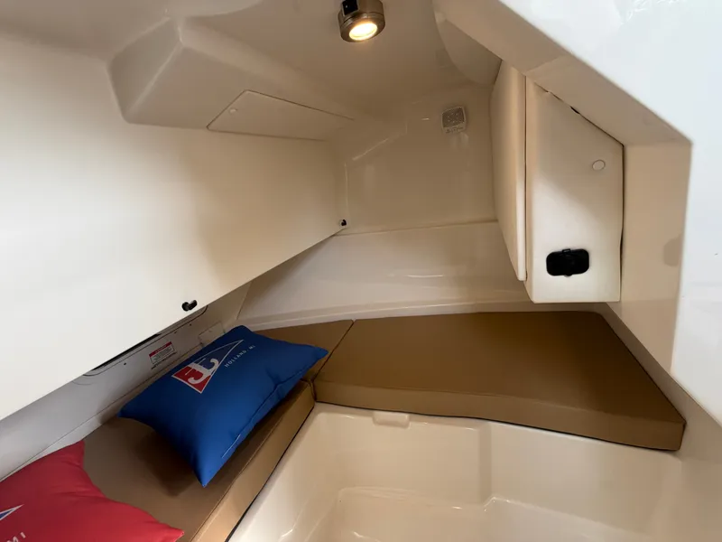Slide: The Image of Sea Ray SDX 250 2019 - 25