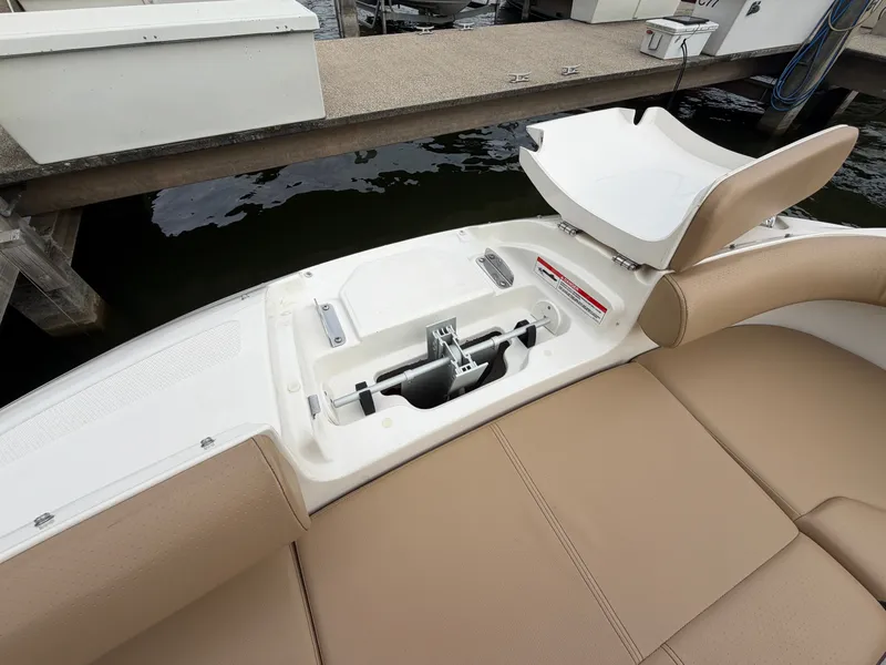 Slide: The Image of Sea Ray SDX 250 2019 - 21