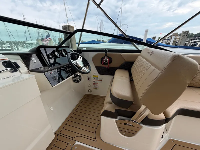 Slide: The Image of Sea Ray SDX 250 2019 - 14
