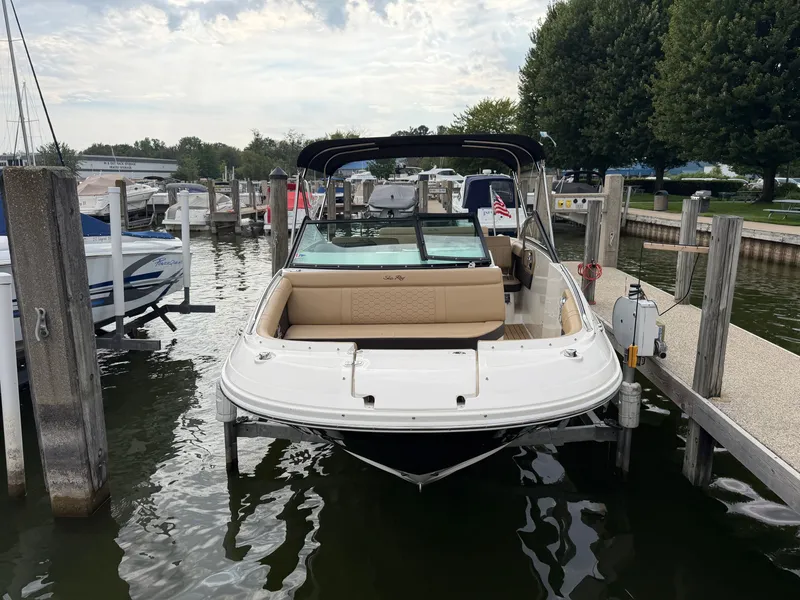 Slide: The Image of Sea Ray SDX 250 2019 - 2