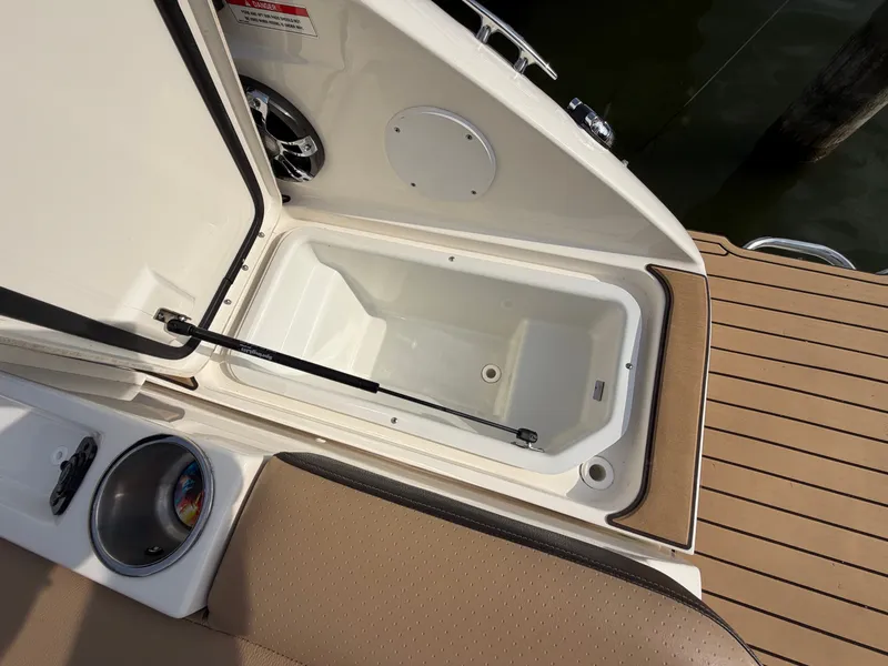 Slide: The Image of Sea Ray SDX 250 2019 - 43