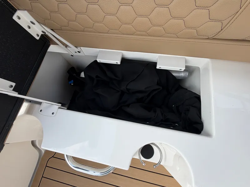 Slide: The Image of Sea Ray SDX 250 2019 - 42