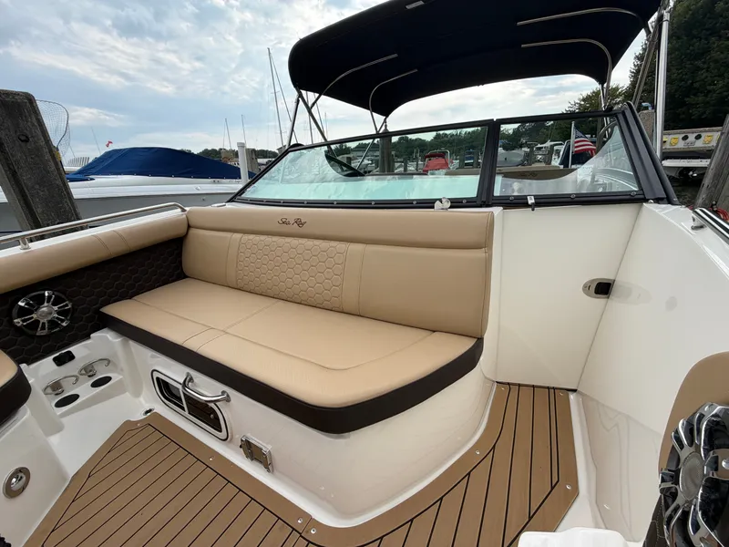 Slide: The Image of Sea Ray SDX 250 2019 - 19