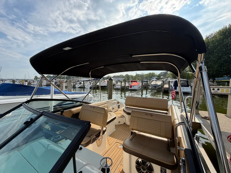 Slide: The Image of Sea Ray SDX 250 2019 - 26