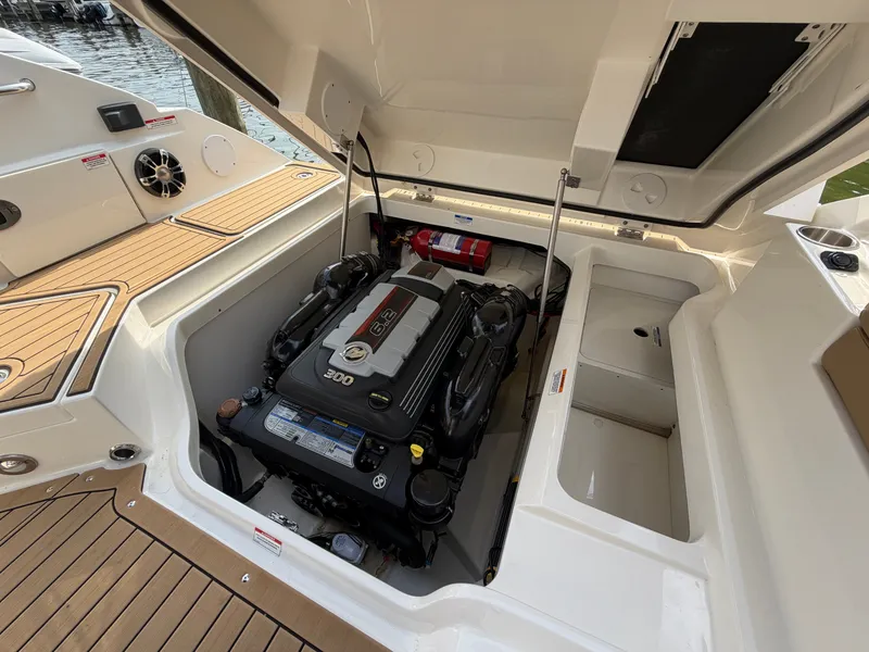Slide: The Image of Sea Ray SDX 250 2019 - 30