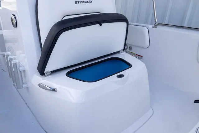 Slide: The Image of Stingray 17 CC 2027 - 5
