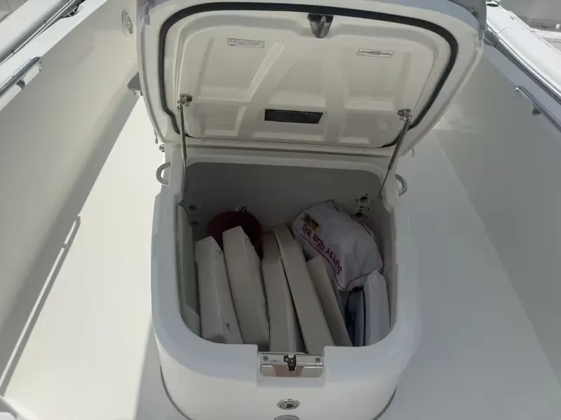 Slide: The Image of Boston Whaler 270 Dauntless 2021 - 13