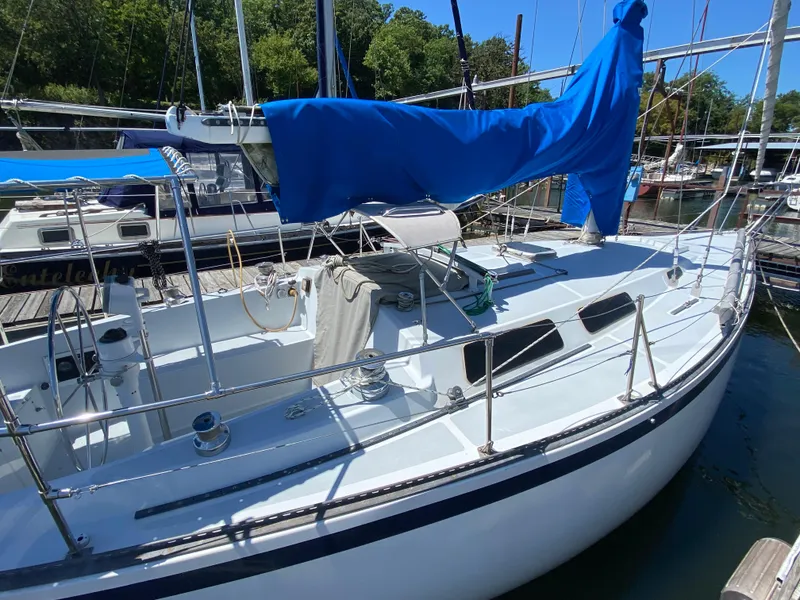 Slide: The Image of 1978 Sailboat MSY 38 docked, covered in blue sail cover, ready for sailing. - 9
