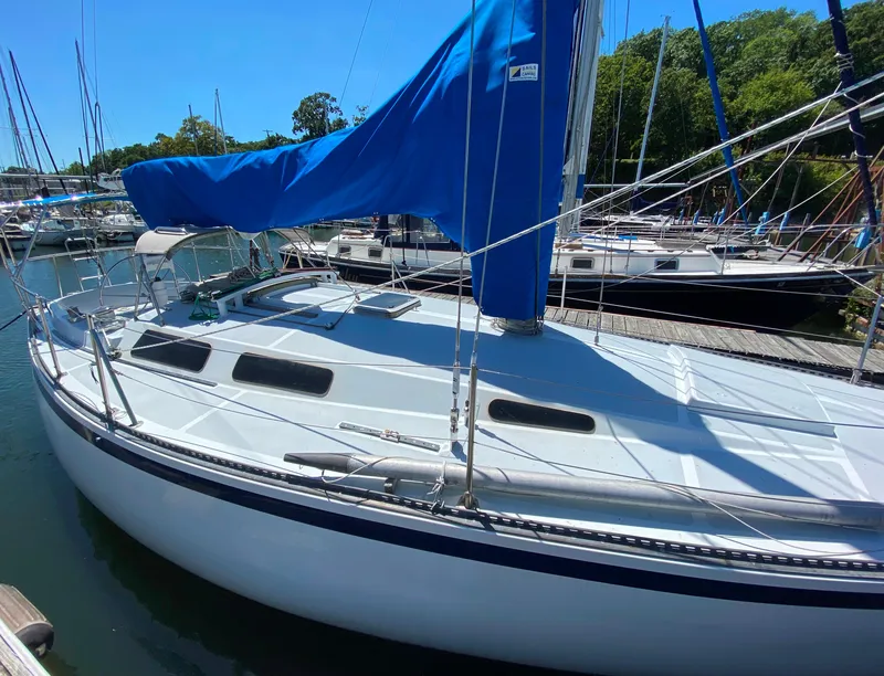 Slide: The Image of 1978 Sailboat MSY 38 docked, blue sail cover, sunny day. - 7