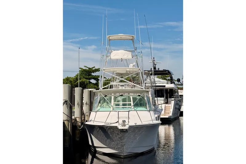 The Image of 2004 Cabo 35 Express boat docked in marina under clear blue sky. - 1