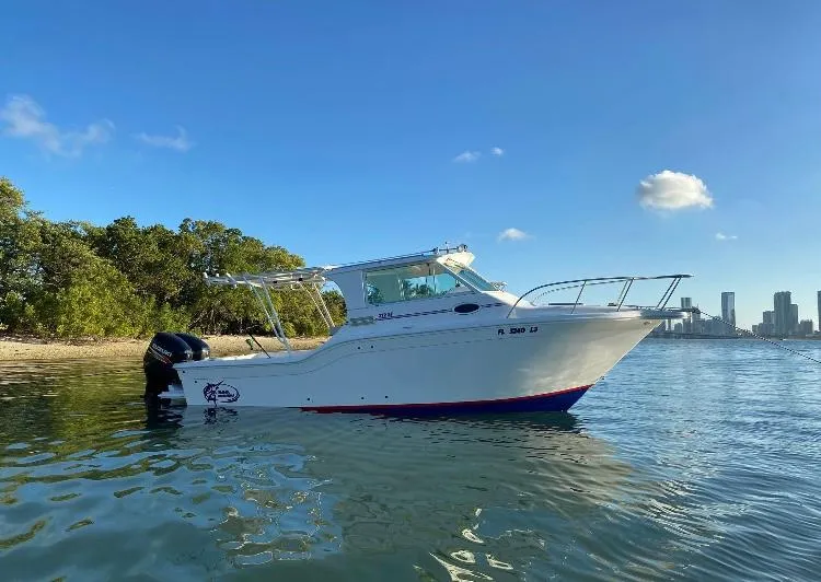 The Image of 2000 Baha Cruisers 272 Sportfish boat on calm water near shoreline. - 2