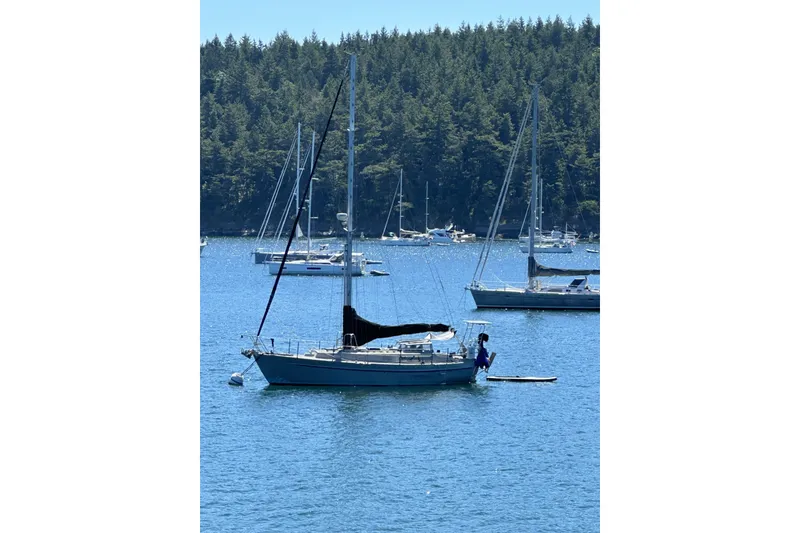 Slide: The Image of Sailboats anchored in a serene bay, featuring a 2005 Brewer Cutter. - 67