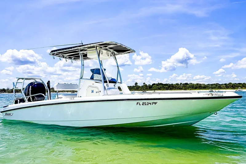 The Image of 2011 Boston Whaler 230 Dauntless boat on clear water under blue sky. - 0