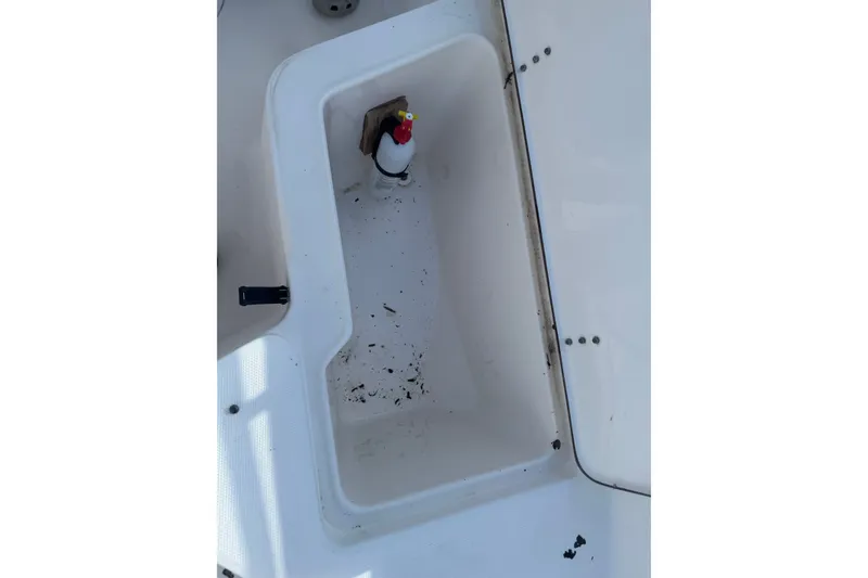 Slide: The Image of Storage compartment on a 2005 Sea Hunt Triton 220 boat, featuring a rubber duck. - 15