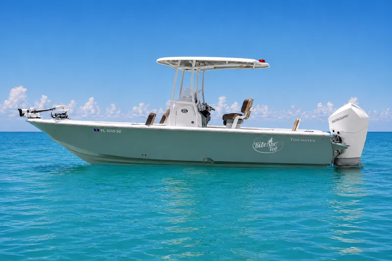 The Image of 2021 Tidewater 2300 Carolina Bay boat on clear blue water under a sunny sky. - 0