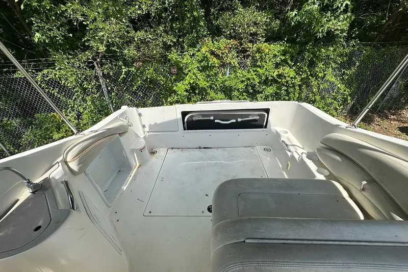Slide: The Image of 2006 Larson Cabrio 240 boat interior with seating and greenery background. - 22