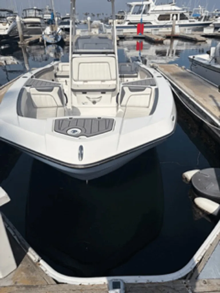 The Image of Yamaha 210 FSH Sport 2019 - 0