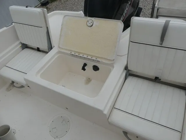 Slide: The Image of Bayliner Element F21 2020 - 20