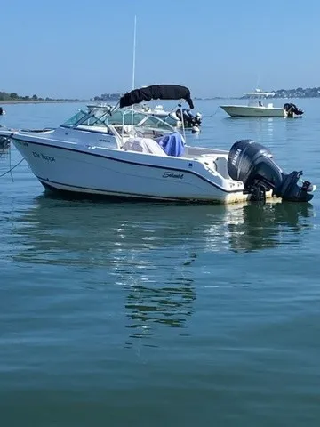 The Image of A white boat floating on calm water, featuring an outboard motor and a black bimini top. - 1