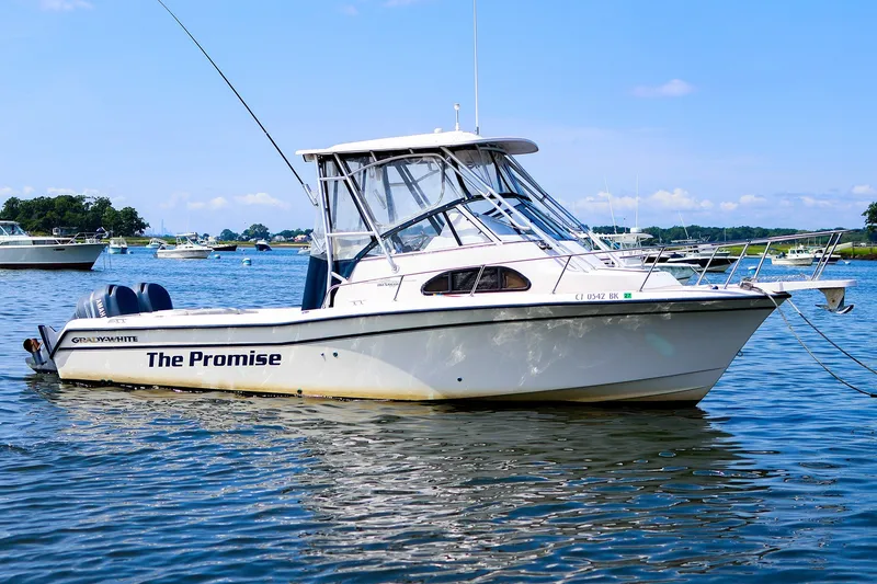 The Image of 2015 Grady-White Sailfish 282 boat named "The Promise" on calm water. - 1